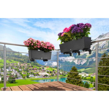 Hrantík 50 cm Supreme – Flower Lover - Image 8