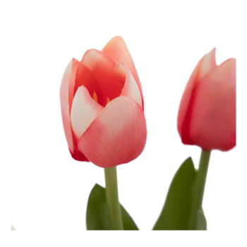 Umelý kvet (výška 31 cm) Tulips – Ixia – Obrázok 5