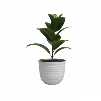 Kvetináč z recyklovaného plastu ø 30 cm Havana – Artevasi - Image 2