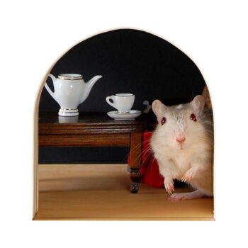 Samolepka Ambiance Mouse Hole - Image 2