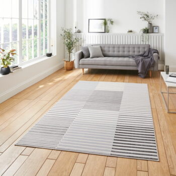 Svetlosivo-krémový koberec 200x290 cm Apollo – Think Rugs - Image 5