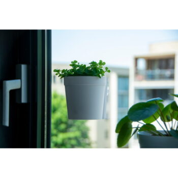 Plastové závesné a nástenné  kvetináče v súprave 2 ks ø 10 cm – Esschert Design - Image 7