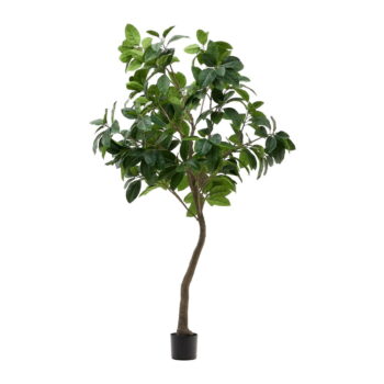 Umelý fikus (výška 210 cm) Ficus – Kave Home