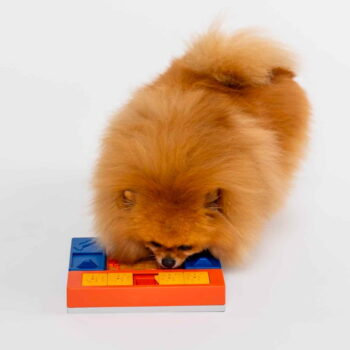 Hlavolam pre psov Puppy Set – Pawzler - Image 8