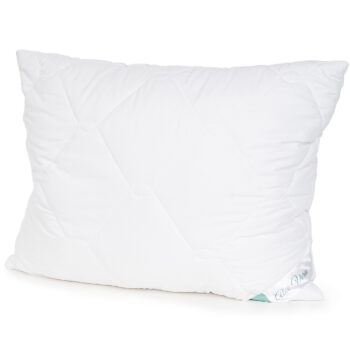 4Home Set prikrývky a vankúša Aloe Premium, 140 x 220 cm, 70 x 90 cm, 140 x 220 cm, 70 x 90 cm