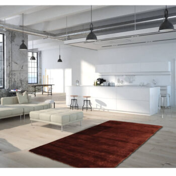 Koberec, ktorý vo Vás zanechá silné emócie. Svojou bordovohnedou farbou Vás koberec LUMA vtiahne do svojej hĺbky a opantá Vaše zmysly. Nežne Vás pohladí svojím jemným povrchom, nakoľko je vyrobený zo 100% polyesteru. Výborne zvýrazní potenciál podlahy i celého interiéru. Rozmery koberca majú (ŠxD):…