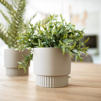 Predstavujeme vám elegantný Hlinený kvetináč Abrio, ktorý prichádza v praktickom balení dvoch kusov. Tento moderný kvetináč je ideálnym doplnkom pre váš interiér, kde dodá vašim rastlinám štýlový vzhľad a zároveň sa stane estetickým prvkom vášho domova.