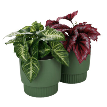 Kvetináče sú vyrobené z kvalitnej…