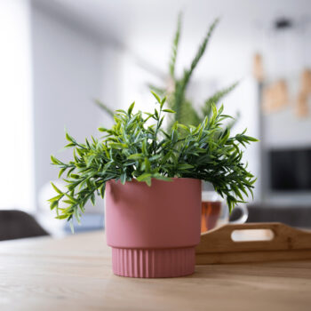 Predstavujeme vám elegantný Hlinený kvetináč Abrio v jemnej ružovej farbe, ktorý prinesie do vášho interiéru moderný nádych. Tento set obsahuje dva kusy kvetináčov, ktoré sú ideálne pre pestovanie vašich obľúbených rastlín a kvetov.