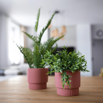 Kvetináče sú vyrobené z kvalitnej…