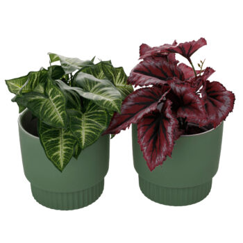 KONDELA Abrio hlinený kvetináč (2 ks) zelená – Obrázok 5