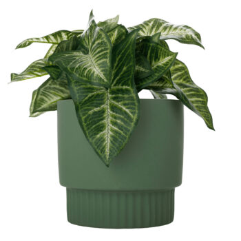 Kvetináče sú vyrobené…