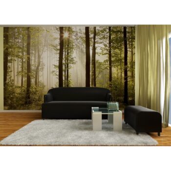 AG Art Fototapeta XXL Raný les 360 x 270 cm, 4 diely