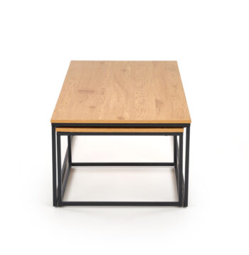 Súčasťou každej obývačky by mal byť konferenčný stolík. Priestranný, funkčný, praktický, elegantný a dizajnovo nápaditý. Taký je aj konferenčný stolík (2 ks) ALASKA. Pozostáva z dvoch stolíkov - väčšieho s rozmerom (ŠxHxV): 120x60x40 cm a menšieho s rozmerom (ŠxHxV): 55x55x36 cm. Materiál použitý…