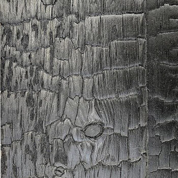 ASKO Fasádne palubovky profil Z OPAĽOVANÝ SMRK 20 × 120 × 3600 mm | natural