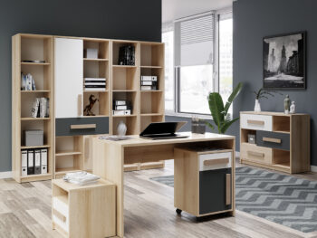 S kvalitným a moderným nábytkom Aurin vyskladáte pracovňu či študentskú izbu presne podľa Vašich predstáv. Komodu so zásuvkami AURIN CH-1100-3DR musíte mať aj vy! Jej rozmery sú (ŠxHxV): 108,8x39,6x84,1 cm. Jej nezvyčajný dizajn nezostane bez povšimnutia. Zásuvky sa môžu pochváliť…