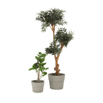 Plastový kvetináč Auson Typ 2 - betón od značky KONDELA je ideálnym riešením pre všetkých milovníkov moderného dizajnu, ktorí hľadajú praktické a esteticky príjemné riešenie pre svoje rastliny. Tento kvetináč je vyrobený z kvalitného plastu s prídavkom kameninového prášku, čo mu dodáva vzhľad…