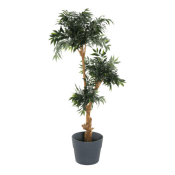 Plastový kvetináč Auson Typ 2 v elegantnej grafitovej farbe je ideálnym riešením pre všetkých milovníkov moderného dizajnu, ktorí hľadajú praktické a štýlové doplnky do svojho interiéru aj exteriéru. Tento kvetináč od značky KONDELA kombinuje funkčnosť s estetickým vzhľadom, čím sa stáva skvelou…