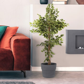 Plastový kvetináč Auson Typ 2 v elegantnej grafitovej farbe je ideálnym riešením pre všetkých milovníkov moderného dizajnu, ktorí hľadajú praktické a štýlové doplnky do svojho interiéru aj exteriéru. Tento kvetináč od značky KONDELA kombinuje funkčnosť s estetickým vzhľadom, čím sa stáva skvelou…