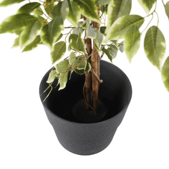 Plastový kvetináč Auson Typ 2 v elegantnej grafitovej farbe je ideálnym riešením pre všetkých milovníkov moderného dizajnu, ktorí hľadajú praktické a štýlové doplnky do svojho interiéru aj exteriéru. Tento kvetináč od značky KONDELA kombinuje funkčnosť s estetickým vzhľadom, čím sa stáva skvelou…