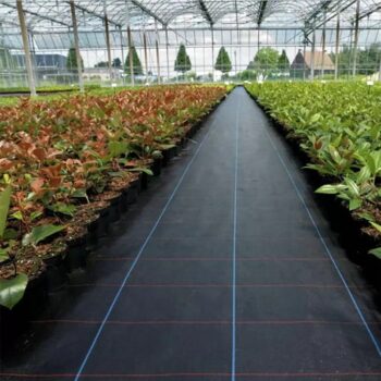 Agrotextília čierna 90g/m 1,1x100m + 100 kolíkov