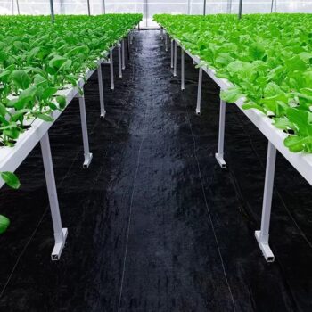 Agrotextília čierna 90g/m 1,1x100m + 100 kolíkov