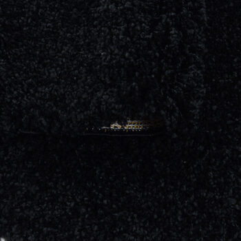 Ayyildiz, Kusový koberec Sydney Shaggy 3000 black, 300x400, čierna, obývacia izba