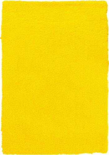 B-line, Kusový koberec Spring Yellow, 60x110, žltá, obývacia izba