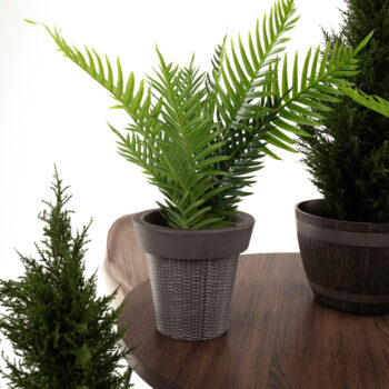 Plastový kvetináč Begon v elegantnej sivej farbe je ideálnym riešením pre všetkých milovníkov moderného dizajnu, ktorí hľadajú praktické a esteticky príjemné riešenie pre svoje rastliny. Tento kvetináč značky KONDELA je vyrobený z kvalitného plastu, čo zaručuje jeho dlhú životnosť a odolnosť…