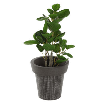 Plastový kvetináč Begon v elegantnej sivej farbe je ideálnym riešením pre všetkých milovníkov moderného dizajnu, ktorí hľadajú praktické a esteticky príjemné riešenie pre svoje rastliny. Tento kvetináč značky KONDELA je vyrobený z kvalitného plastu, čo zaručuje jeho dlhú životnosť a odolnosť…