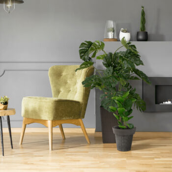 Plastový kvetináč Begon v elegantnej sivej farbe je ideálnym riešením pre všetkých milovníkov moderného dizajnu, ktorí hľadajú praktické a esteticky príjemné riešenie pre svoje rastliny. Tento kvetináč značky KONDELA je vyrobený z kvalitného plastu, čo zaručuje jeho dlhú životnosť a odolnosť…