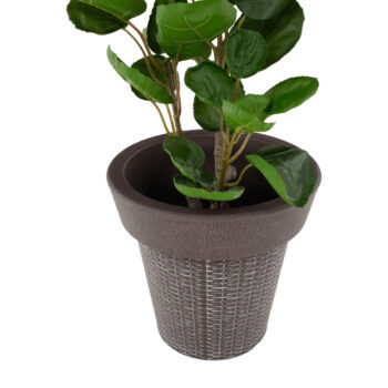 Plastový kvetináč Begon v elegantnej sivej farbe je ideálnym riešením pre všetkých milovníkov moderného dizajnu, ktorí hľadajú praktické a esteticky príjemné riešenie pre svoje rastliny. Tento kvetináč značky KONDELA je vyrobený z kvalitného plastu, čo zaručuje jeho dlhú životnosť a odolnosť…