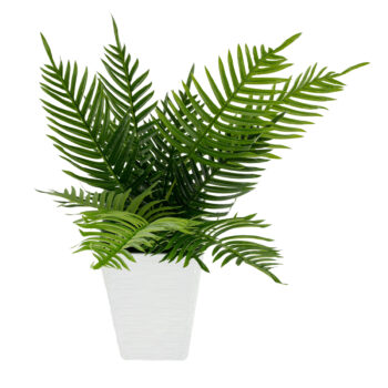 Plastový kvetináč Benel v elegantnej bielej farbe je ideálnym doplnkom pre váš interiér aj exteriér. Tento moderný kvetináč od značky KONDELA sa vyznačuje jednoduchým a čistým dizajnom, ktorý sa hodí do každého prostredia. Vďaka svojmu okrúhlemu tvaru a svetlej farebnosti prinesie do vášho…