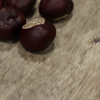 Beauflor, PVC podlaha - lino Texalino Supreme 691 M Valley Oak - dub, na mieru, šíře 2m,3m,4m, hnedá, filc, chodba / predsieň