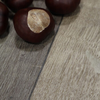 Beauflor, PVC podlaha - lino Texalino Supreme 997 D Valley Oak - dub, na mieru, šíře 2m,3m,4m,5m, hnedá, filc, chodba / predsieň