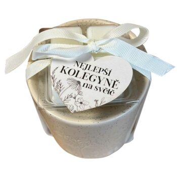 Bohemia Gifts Arómalampa s vonnými voskami - Pro kolegyni