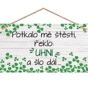 Bohemia Gifts Dekoračný obrázok na zavesenie - Šťastie