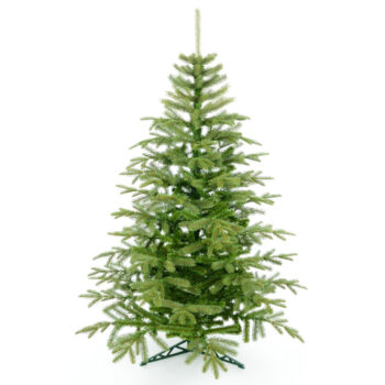 Na koniec decembra sa teší každý z nás, pretože nedočkavo očakávame príchod najkrajších sviatkov v roku - Vianoc. Vianoce predstavujú obdobie lásky, pokoja a radosti v kruhu najbližších. Ich najkrajším a neodmysliteľným symbolom je vianočný stromček. Mimoriadne…
