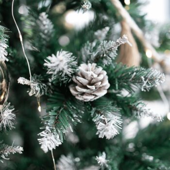 Vianočný stromček Christmas Typ 4 s výškou 220 cm je ideálnym doplnkom pre váš interiér počas sviatočného obdobia. Tento moderný stromček v zelenom prevedení prinesie do vášho domova autentickú atmosféru Vianoc, pričom jeho husté ihličie s imitáciou snehu a dekoratívnymi šiškami…