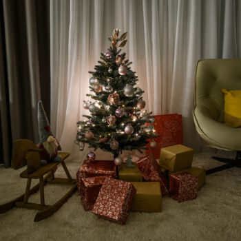 Vianočný stromček Christmas Typ 8 s výškou 108 cm je ideálnym doplnkom pre váš interiér počas sviatočného obdobia. Tento moderný stromček v zelenom prevedení prinesie do vášho domova atmosféru skutočných Vianoc. Je vyrobený z kvalitného PVC a kovu, čo zaručuje jeho dlhú…