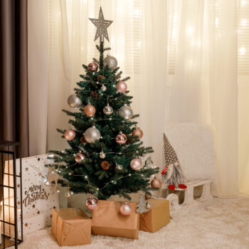 Vianočný stromček Christmas Typ 8 s výškou 108 cm je ideálnym doplnkom pre váš interiér počas sviatočného obdobia. Tento moderný stromček v zelenom prevedení prinesie do vášho domova atmosféru skutočných Vianoc. Je vyrobený z kvalitného PVC a kovu, čo zaručuje jeho dlhú…