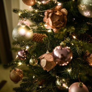 Vianočný stromček Christmas Typ 8 s výškou 108 cm je ideálnym doplnkom pre váš interiér počas sviatočného obdobia. Tento moderný stromček v zelenom prevedení prinesie do vášho domova atmosféru skutočných Vianoc. Je vyrobený z kvalitného PVC a kovu, čo zaručuje jeho dlhú…