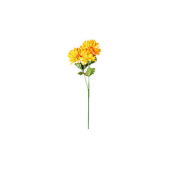 Chryzantéma plnokvetá, 3 kvety, v. 58 cm