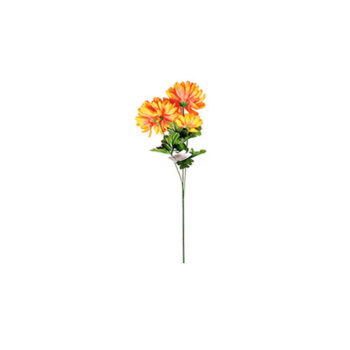 Chryzantéma plnokvetá, 3 kvety, v. 58 cm