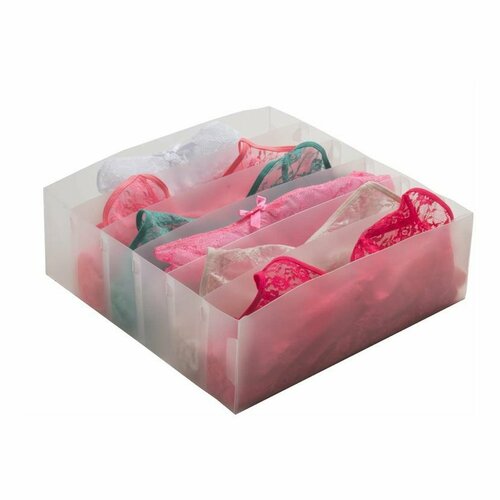 Compactor Organizér do zásuvky na spodnú bielizeň Optimo, 6 priehradiek Compactor Organizér do zásuvky na spodnú bielizeň Optimo, 6 priehradiek