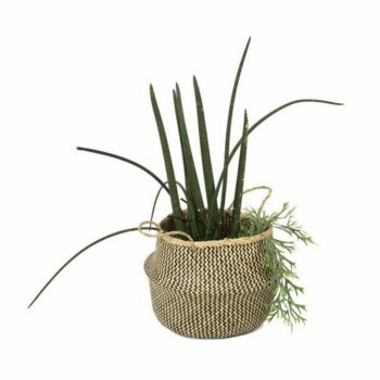 Compactor Pletený úložný košík z morskej trávy Belly, 45 x 36 cm, čierna, L