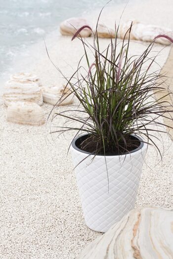 Plastový kvetináč DBMT300 30 cm zaujme jedinečným dizajnom, prepletaným vzorom, funkčnosťou a moderným farebným prevedením biela. Súčasťou kvetináča je praktická vkladka s úchytkami, ktorá zníži množstvo potrebnej zeminy a uľahči tak výsadbu kvetín, rastlín či iných byliniek. Materiál použitý na…