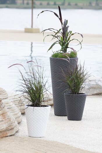 Plastový kvetináč DBMT300 30 cm zaujme jedinečným dizajnom, prepletaným vzorom, funkčnosťou a moderným farebným prevedením biela. Súčasťou kvetináča je praktická vkladka s úchytkami, ktorá zníži množstvo potrebnej zeminy a uľahči tak výsadbu kvetín, rastlín či iných byliniek. Materiál použitý na…