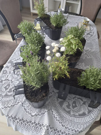 Plastový balkónový kvetináč DDECZ400 38,3 cm bude ideálnou voľbou pre vypestovanie rôznych okrasných kvetov, rastliniek či čerstvých byliniek, ktoré použijete v kuchyni ako prísadu do jedál. Farebné prevedenie antracit a dizajn pripomínajúci malé latky mu dodávajú neprehliadnuteľný šmrnc. Vyrobený…