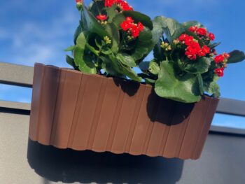 Plastový balkónový kvetináč DDECZ400 38,3 cm bude ideálnou voľbou pre vypestovanie rôznych okrasných kvetov, rastliniek či čerstvých byliniek, ktoré použijete v kuchyni ako prísadu do jedál. Farebné prevedenie hnedá a dizajn pripomínajúci malé latky mu dodávajú neprehliadnuteľný šmrnc. Vyrobený je…